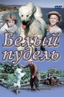 The White Poodle