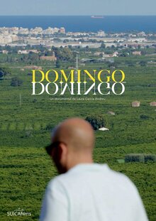Poster of Domingo Domingo