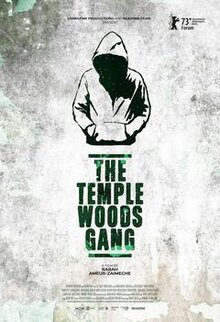 Poster of The Temple Woods Gang