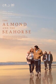 Poster of The Almond and the Seahorse