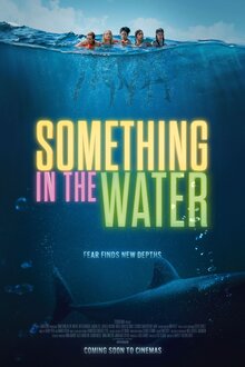 Poster of Something in the Water