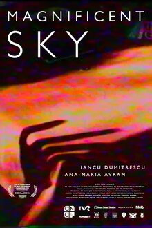 Poster of Magnificent Sky