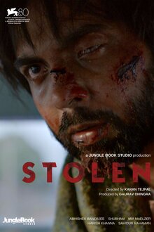 Poster of Stolen