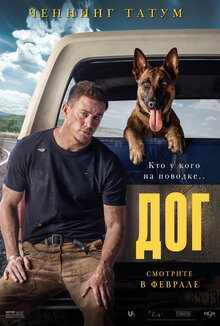 Poster of Dog