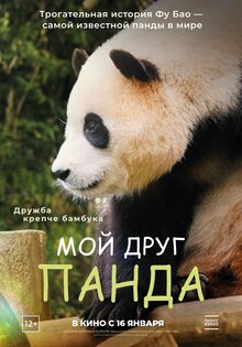 Poster of My Dearest Fu Bao