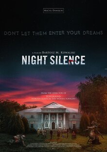 Постер фильма Night Silence