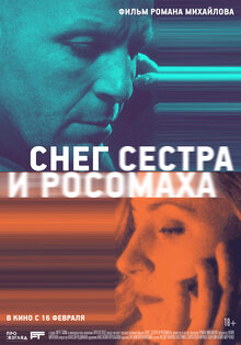 Poster of Sneg, sestra i rosomakha