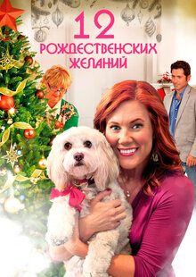 Poster of 12 Wishes of Christmas