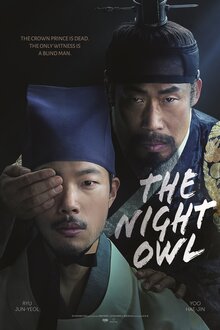 Poster of The Night Owl