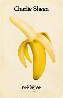 Poster of A Glimpse Inside the Mind of Charles Swan III