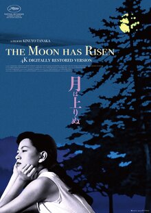 Poster of The Moon Has Risen