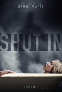 Poster of Shut In