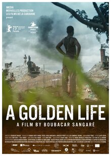 Poster of A Golden Life