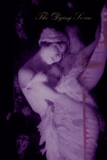 The Dying Swan