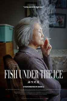 Poster of Fish Under The Ice