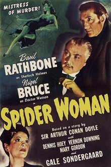 Poster of The Spider Woman