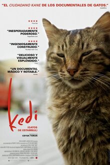 Постер фильма Город Кошек