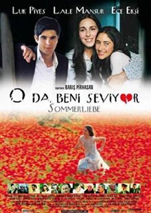 Poster of Summer Love
