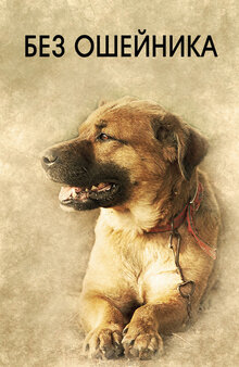 Without Dog Collar