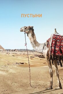 Poster of Пустыни