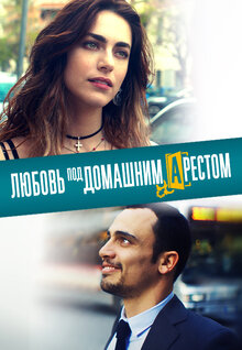 Poster of L'amore a domicilio