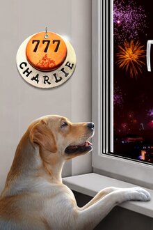 Poster of 777 Charlie