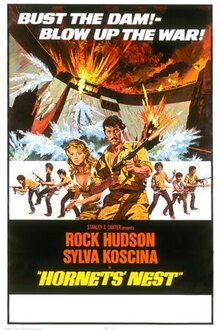 Poster of Hornets’ Nest