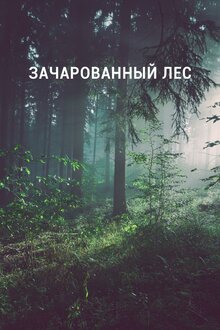 Poster of Зачарованный лес