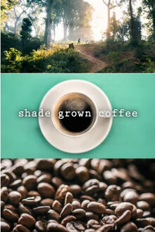 Poster of Shade Grown Coffee