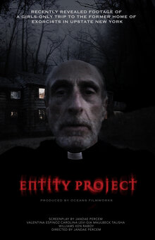 Poster of Entity Project