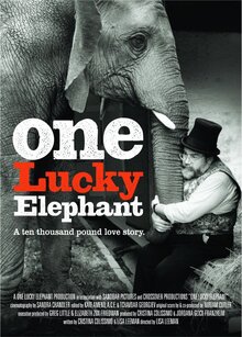 Poster of One Lucky Elephant