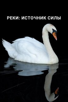 Poster of Реки: источник силы