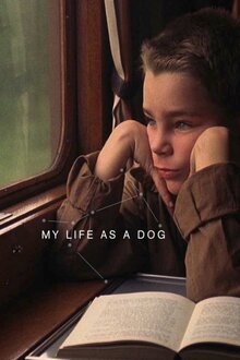 Poster of Mitt liv som hund