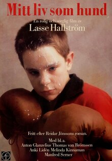 Poster of Mitt liv som hund