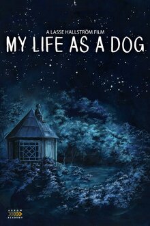 Poster of Mitt liv som hund