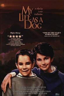 Poster of Mitt liv som hund