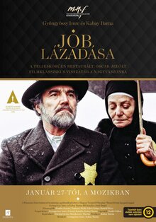Poster of The Revolt of Job