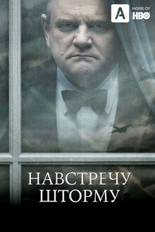 Навстречу шторму