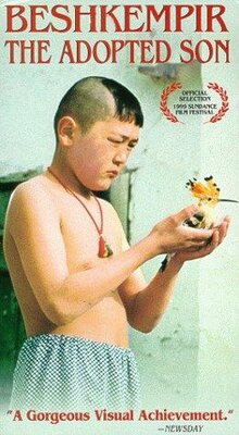Poster of The Adopted Son