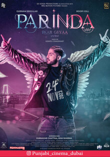 Poster of Parinda Paar Geyaa