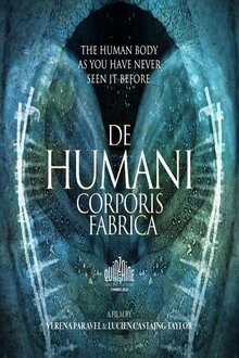 The Fabric of the Human Body