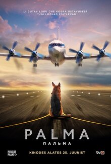 Poster of A Dog Named Palma
