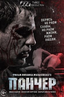Poster of Puncher