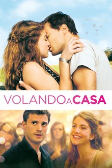 Poster of Flying Home