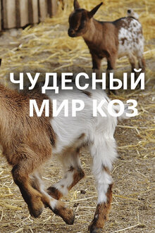 Poster of Чудесный мир коз