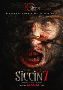 Постер фильма Siccin 7