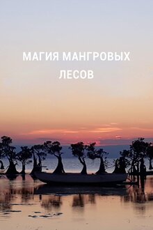 Poster of Магия мангровых лесов