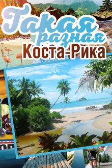 Poster of Flavors of costa rica