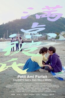 Poster of Perfect Boyfriend