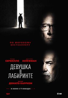 Постер фильма Девушка в лабиринте